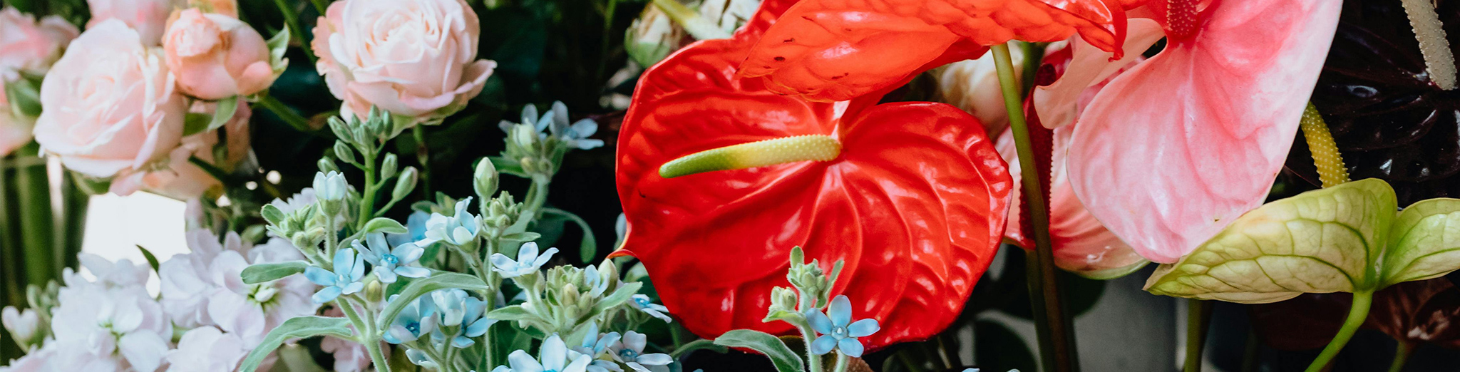 季節のお花を知る