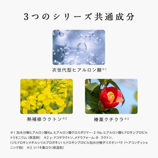 ReFaリファビューテックトリートメント 商品説明