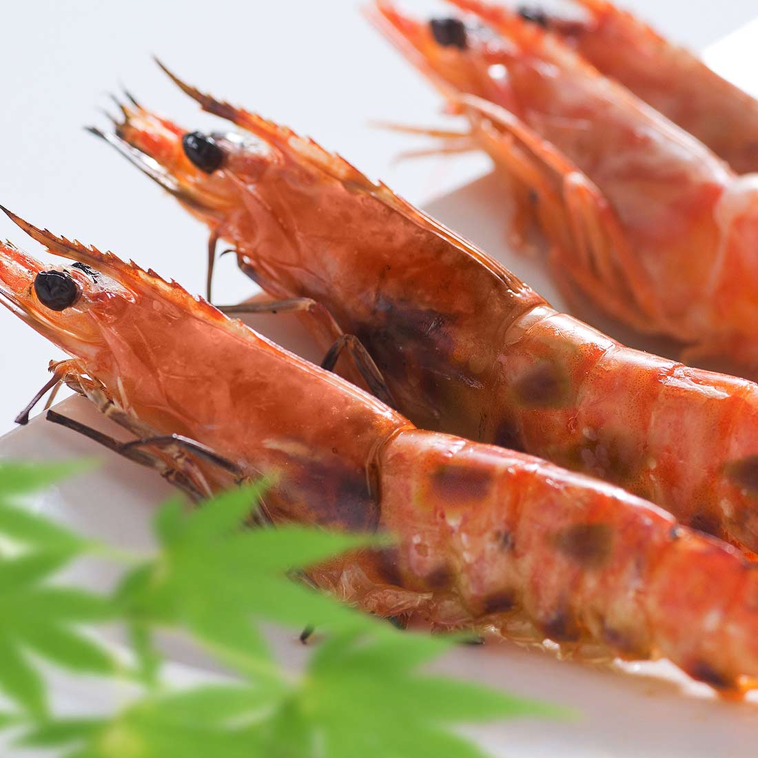 豊後絆屋ゆず風味車海老酒粕漬（短冊のしのみ対応）