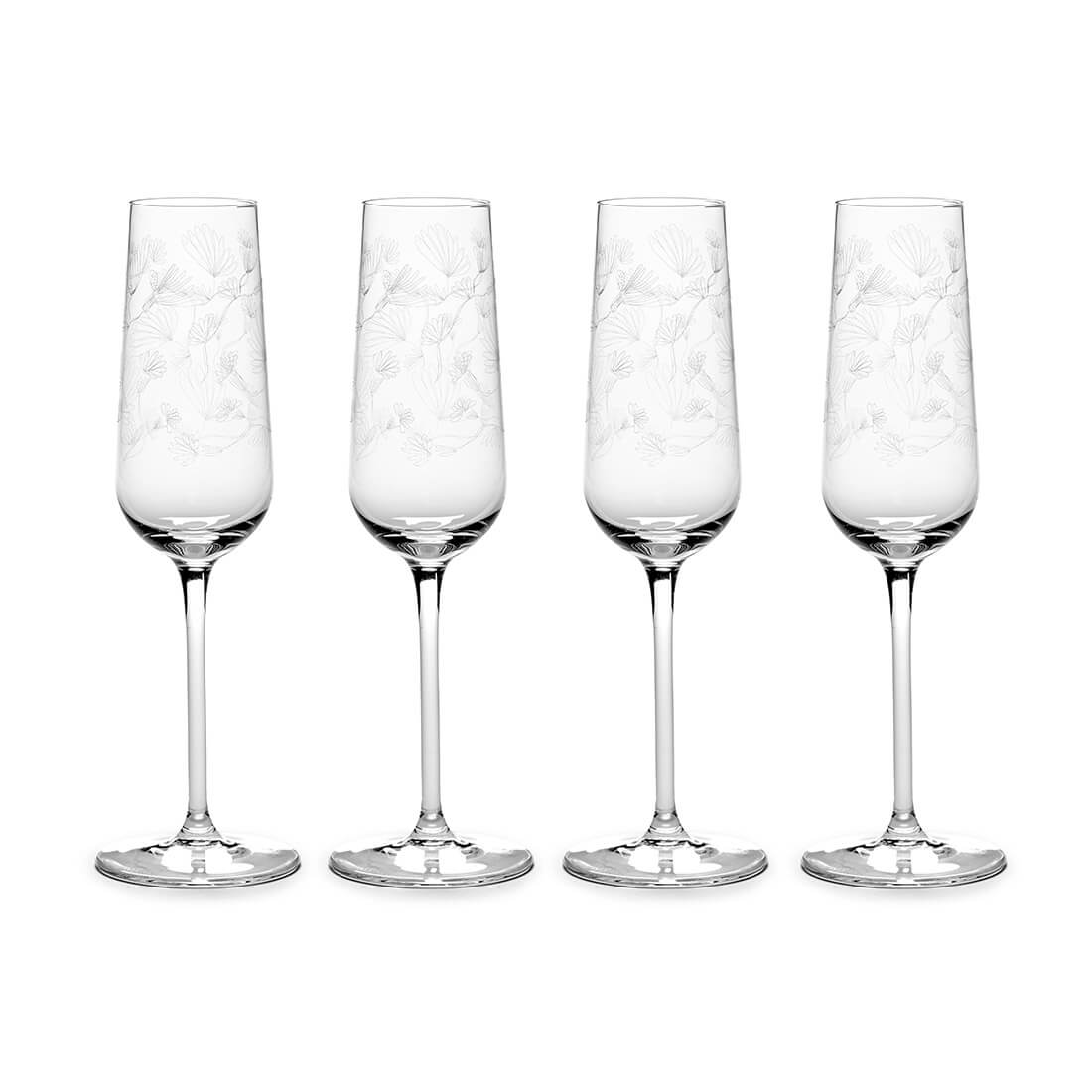 SERAX(MARNI) / シャンパンフルート4個 270ml カメリアオーバージーン
