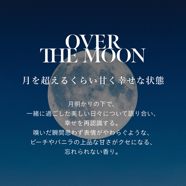 SINNPURETE【ハンドケアセット】ハンドウォッシュ/FREESPIRIT+ハンドセラム/OVERTHEMOON【ギフトボックス入り】
