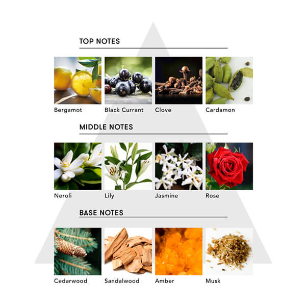 SINNPURETE【ハンドケアセット】ハンドウォッシュ/FREESPIRIT+ハンドセラム/INNERSENSUALITY【ギフトボックス入り】