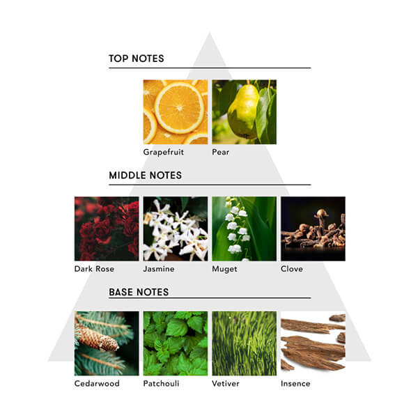 SINNPURETE【ハンドケアセット】ハンドウォッシュ/FREESPIRIT+ハンドセラム/INNERSENSUALITY【ギフトボックス入り】