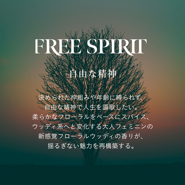 SINNPURETE【マルチケアセット】ハンドウォッシュ/FREESPIRIT+マルチベネフィットオイル(情熱的な目覚め)【ギフトボックス入り】