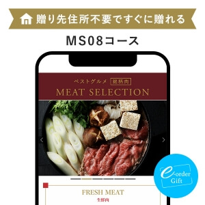ベストグルメ～銘柄肉～ MEAT SELECTION e-order gift メール（SNS）タイプ ＜MS08＞