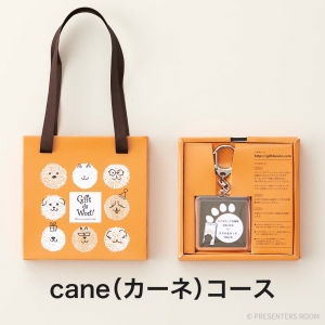 Gift da Won！＜cane（カーネ）＞