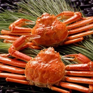 ボイルずわいがに姿450g×2杯（短冊のしのみ対応）