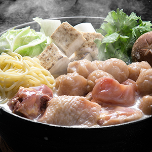 おおいた冠地どり 鶏白湯鍋セット（短冊のしのみ対応）