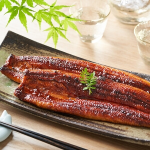 名産地鰻の蒲焼き食べ比べ（浜名湖、三河一色、九州）