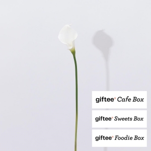 Bloom365 × giftee Box / カラーリリィ（ホワイト）