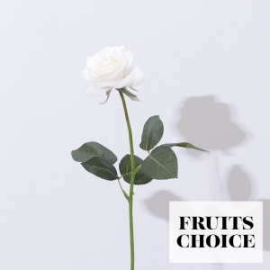 Bloom365 / ローズ（ホワイト）＋選べるギフト フルーツチョイス