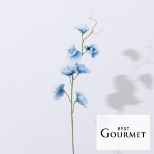 Bloom365 / スイトピー（ブルー）＋選べるギフト BEST GOURMET(ベストグルメ)