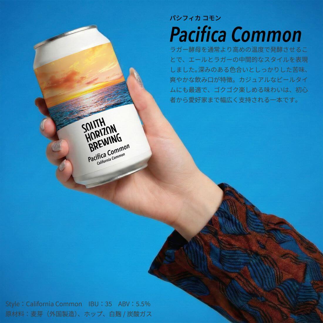 SOUTH HORIZON BREWING / クラフトビール3種6本飲み比べパック