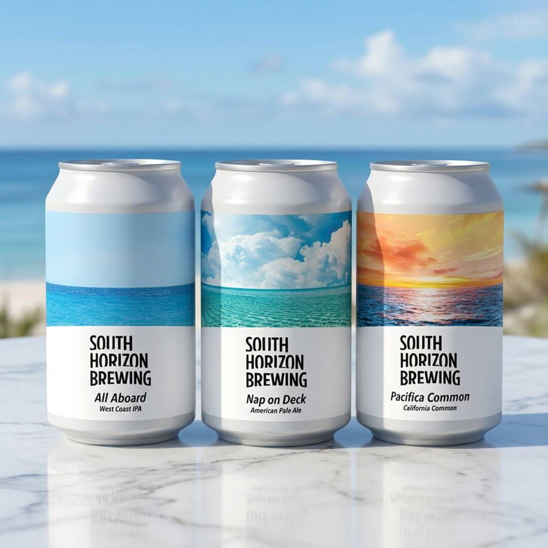 SOUTH HORIZON BREWING / クラフトビール3種6本飲み比べパック