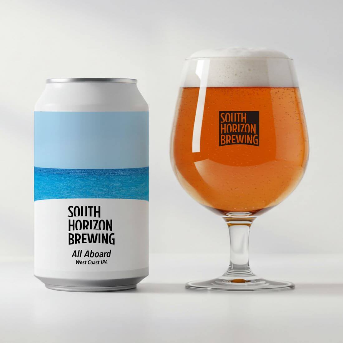 SOUTH HORIZON BREWING / 【晩酌セット】ビール6本×しょっつるナッツ4種