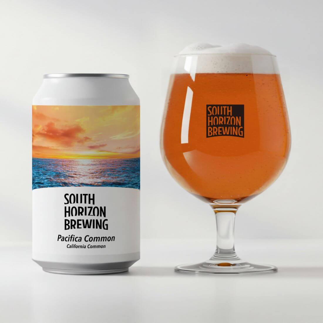 SOUTH HORIZON BREWING / 【晩酌セット】ビール6本×しょっつるナッツ4種