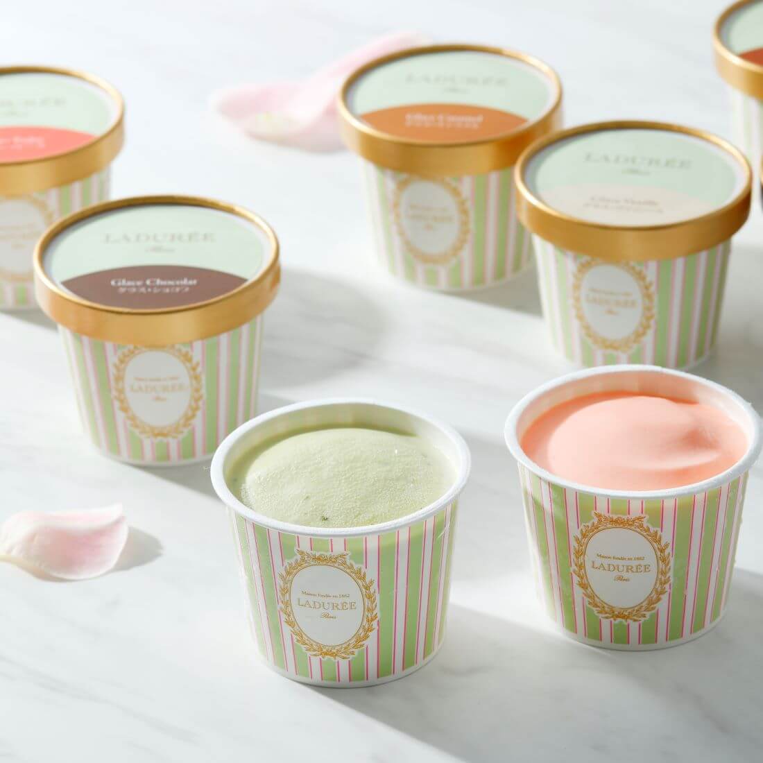 LADUREE / アイス＆ソルベ 8個入り