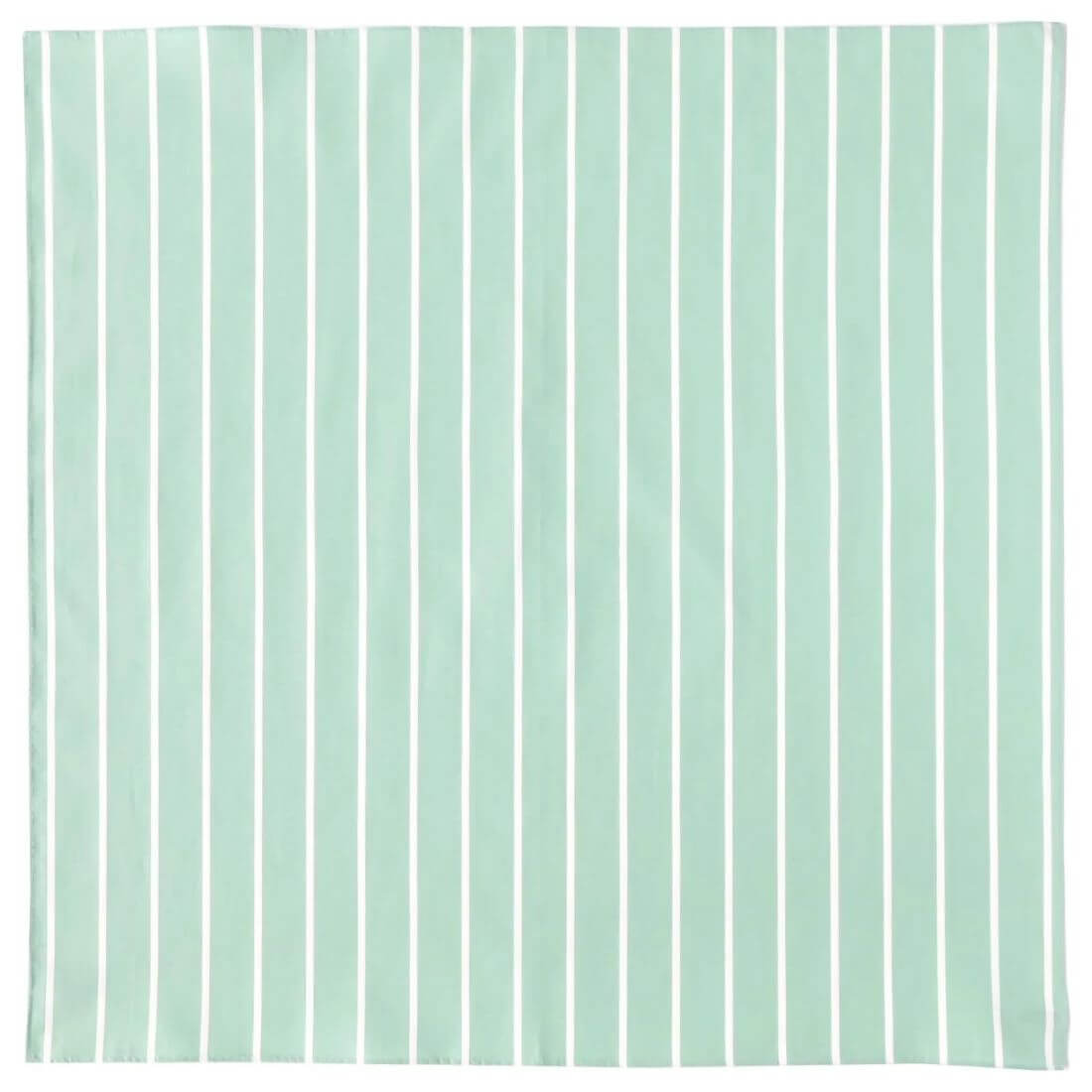 H TOKYO / ハンカチ ミントオーガニックサテンストライプ