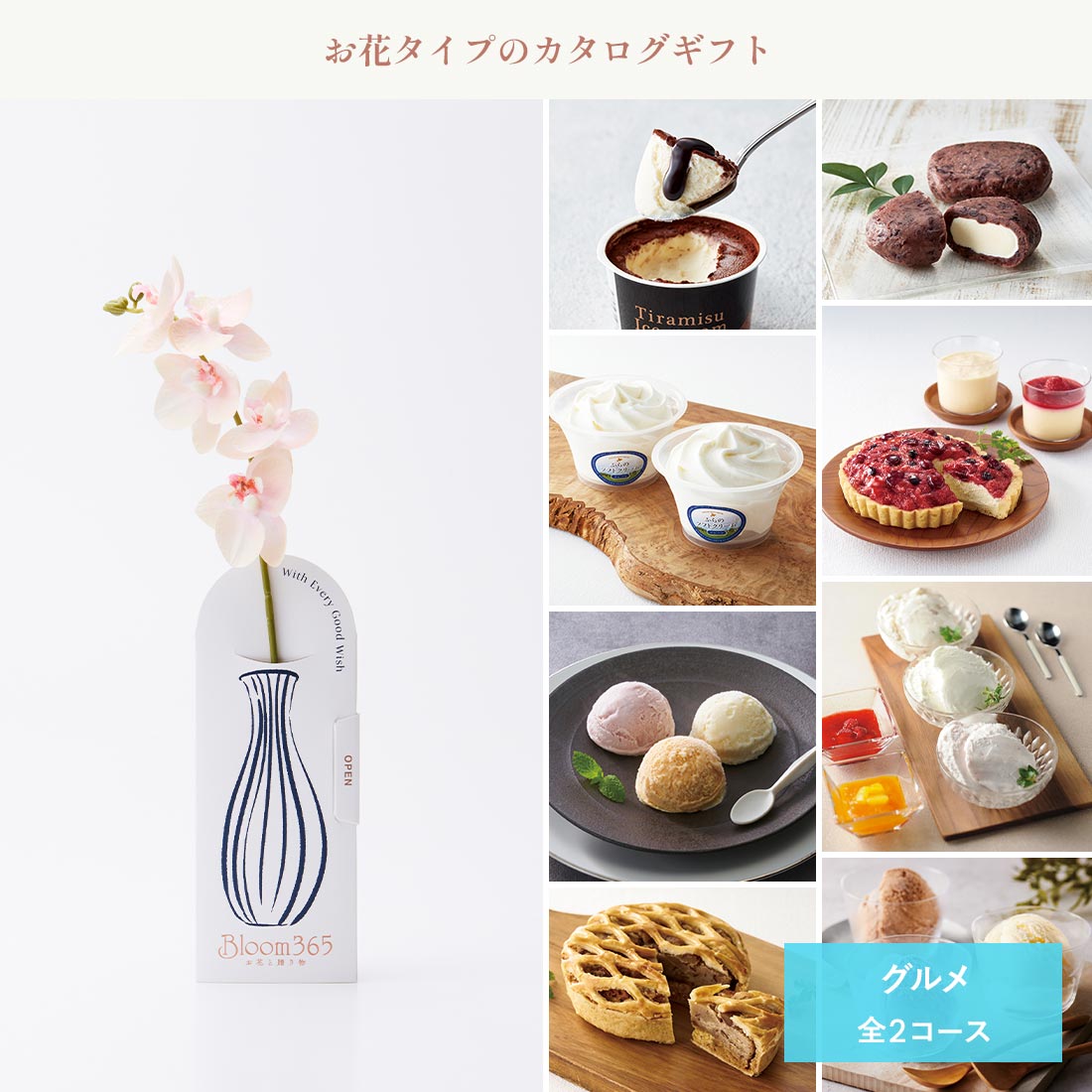 ミディコチョウラン（ピーチ）