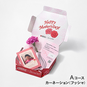 Thanks Mom PIZZA-LA by Bloom365 / カーネーション(フッシャ)＋Aコース（ピザーラネットクーポン2500円分）