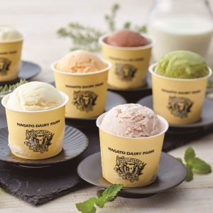 長門牧場 / アイスクリーム 6種10個セット