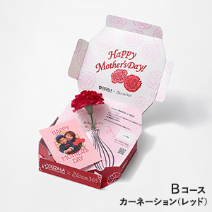 Thanks Mom PIZZA-LA by Bloom365 / カーネーション(レッド)＋Bコース（ピザーラネットクーポン4500円分）