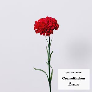 Bloom365 / カーネーション(レッド)＋選べるギフト CosmeKitchen & Biople GIFT CATALOG