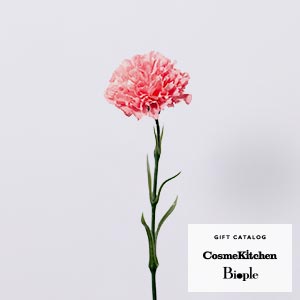 Bloom365 / カーネーション(ローズピンク)＋選べるギフト CosmeKitchen & Biople GIFT CATALOG