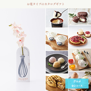 Bloom365 / ミディコチョウラン（ピーチ）＋選べるアイス＆ケーキ コレクション