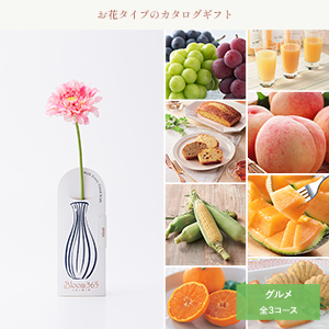 Bloom365 / ガーベラ（ピンク）＋選べるギフト フルーツチョイス