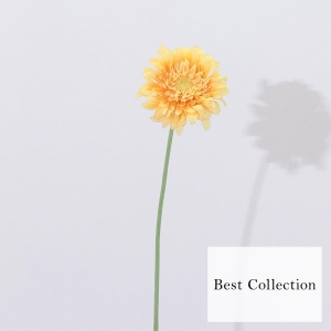 Bloom365 / ガーベラ(イエロー)＋選べるギフト ベストコレクション