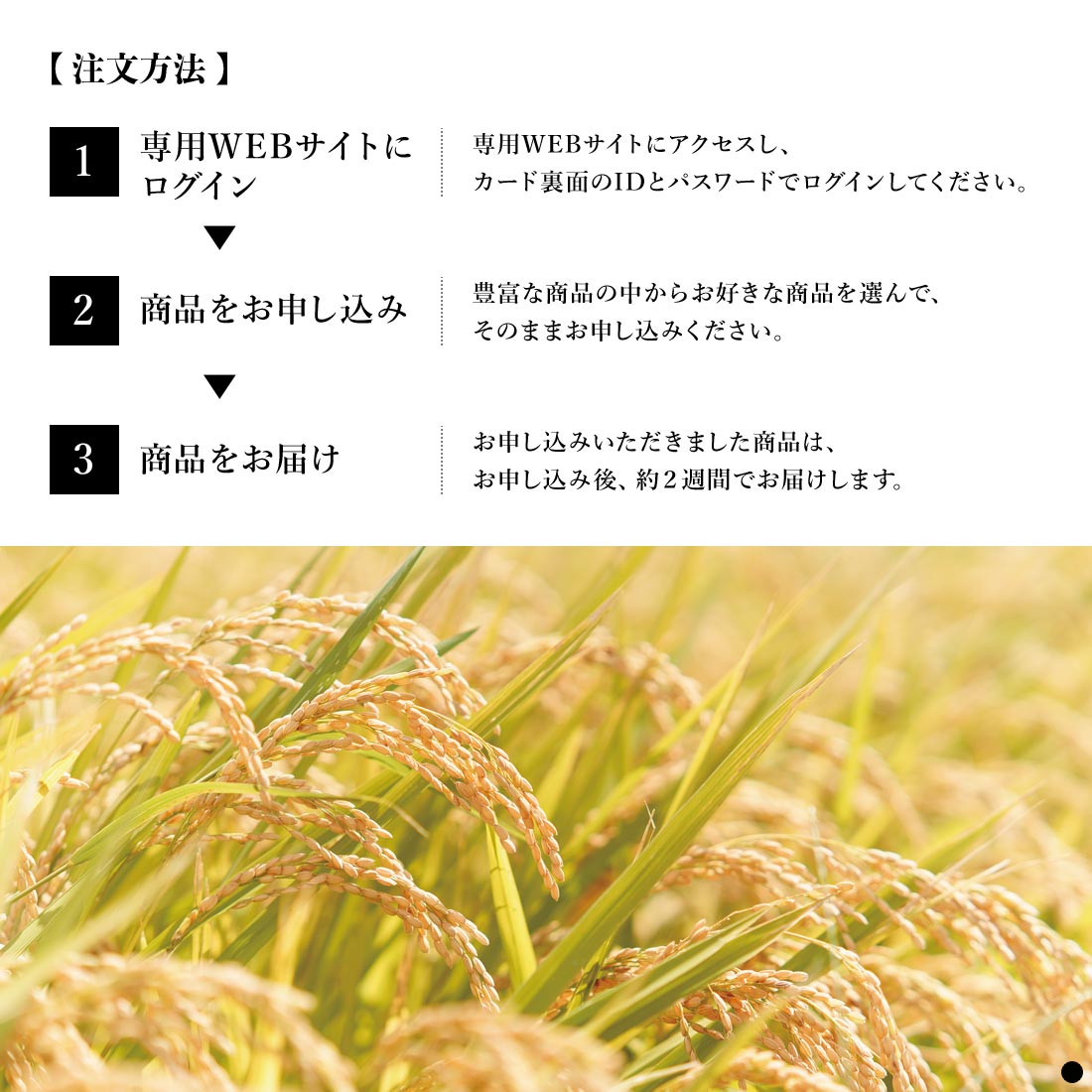 カタログギフト AKOMEYA TOKYO 商品説明