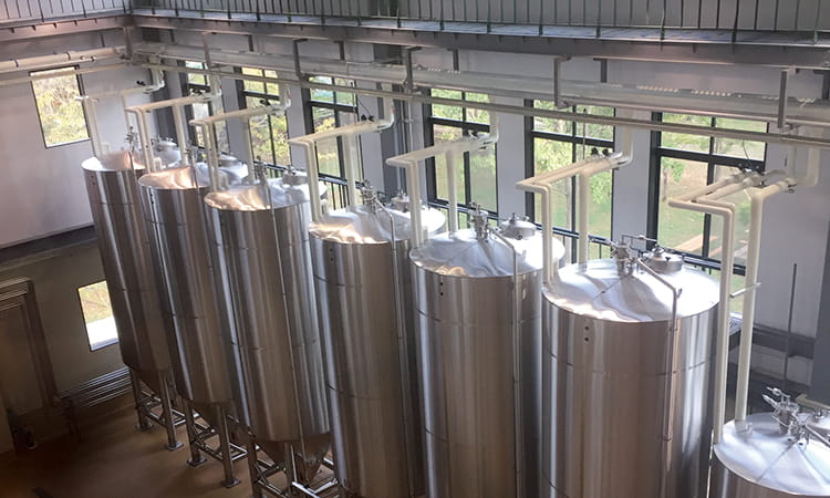 ベアードビール