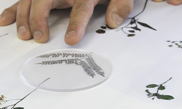 toumei / カーネーションコースター