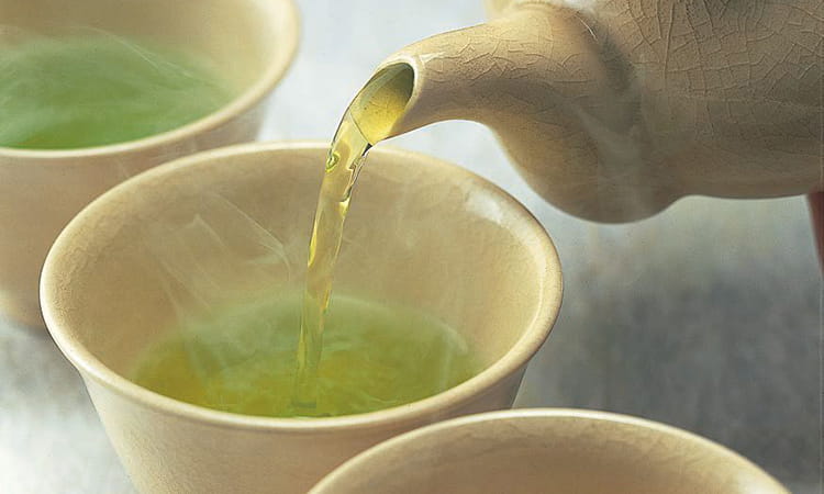 煎茶・玉露