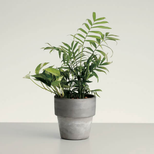 UNITED ARROWS 商品交換WEBサイトトップページ