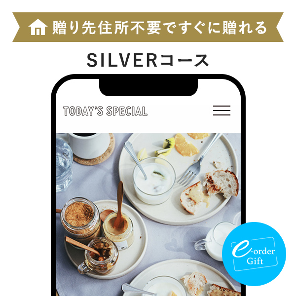 TODAY'S SPECIAL（トゥデイズスペシャル） GIFT CATALOG e-order gift メール（SNS）タイプ SILVER（シルバー）